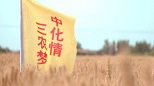 中化集团农业业务宣传片